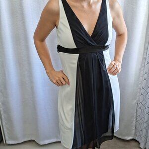 28. Alyn Paige V-Neck sleeveless Mini Cocktail Dress sheer overlay skirt empire